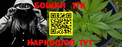 прущие крисы Можга