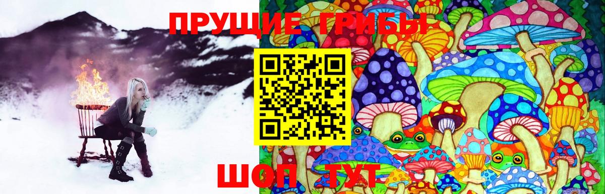 Псилоцибиновые грибы Magic Shrooms  цена   Вход с VPN  Великие Луки  Галлюциногенные грибы Cubensis 